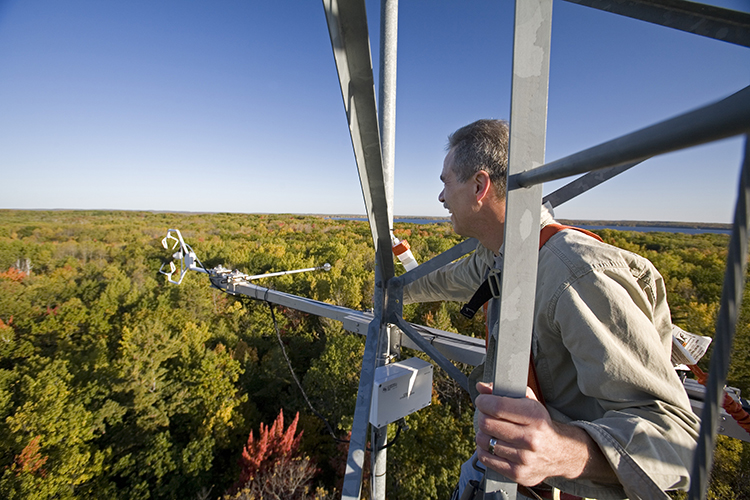 A scientist works with a device installed on an antenna above a forest.