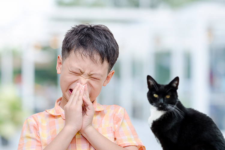 A boy sneezing next to a cat.