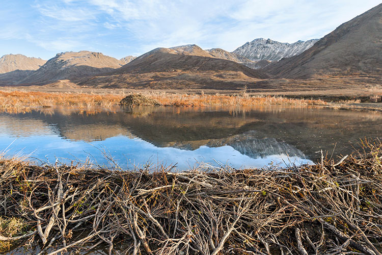 Mountain landscape with water at its base