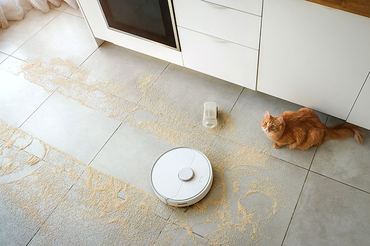 Photo of a roomba picking up spilled spices while a cat sits nearby