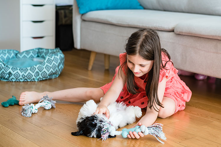 Illustration of a child playing with a puppy in a living room