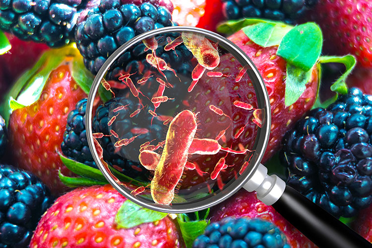 Close-up microscopic image of bacteria on pieces of fruit