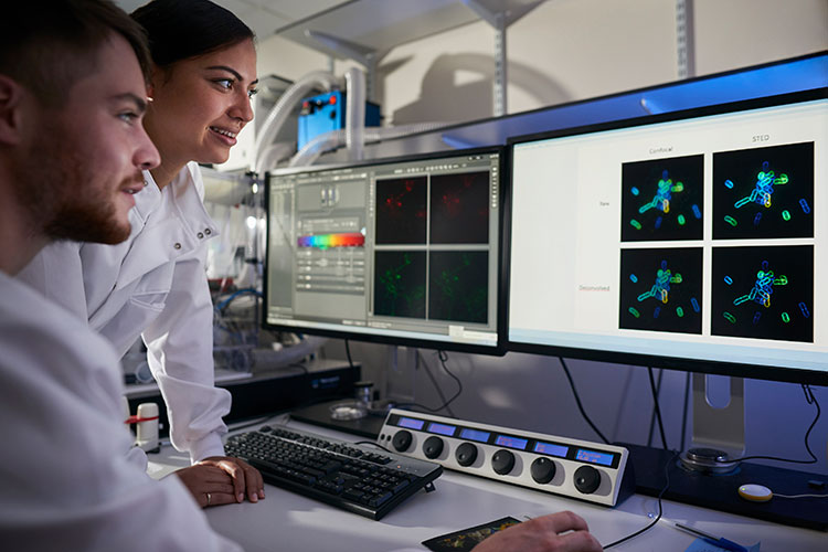 A couple of scientists in front of a computer screen, comparing different models.